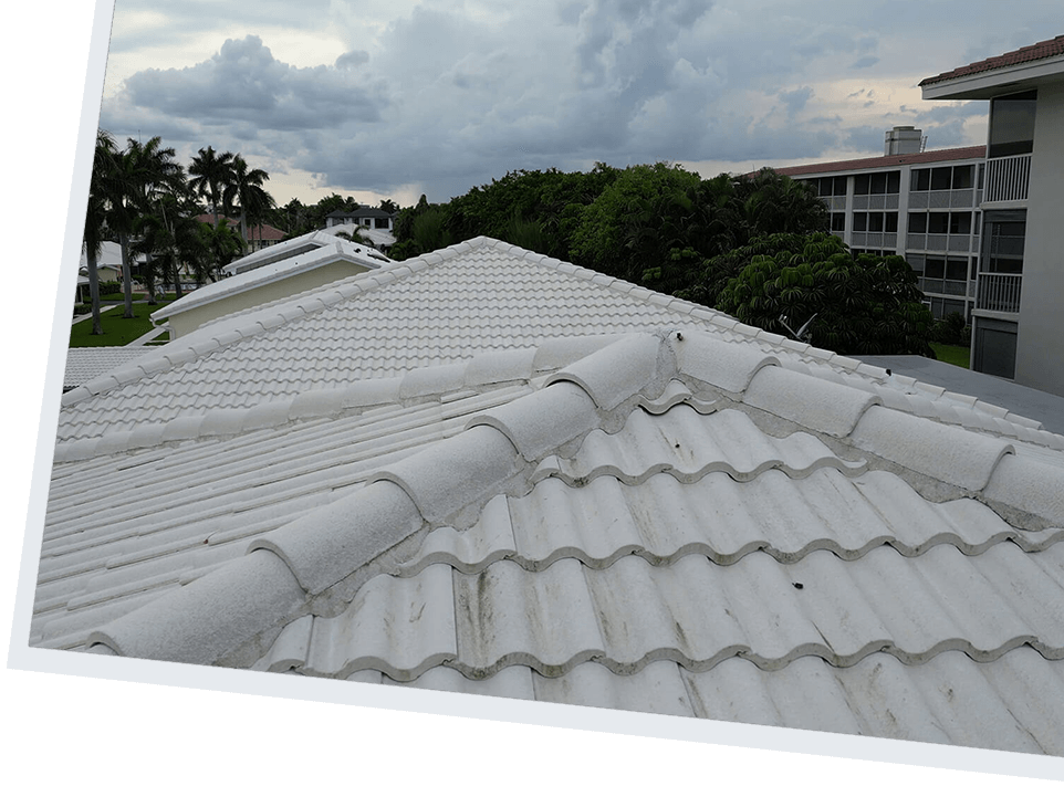 Roof Warranty Management in Fl | Allied Roofing